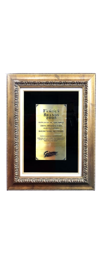 Giant Famous Brand 2008